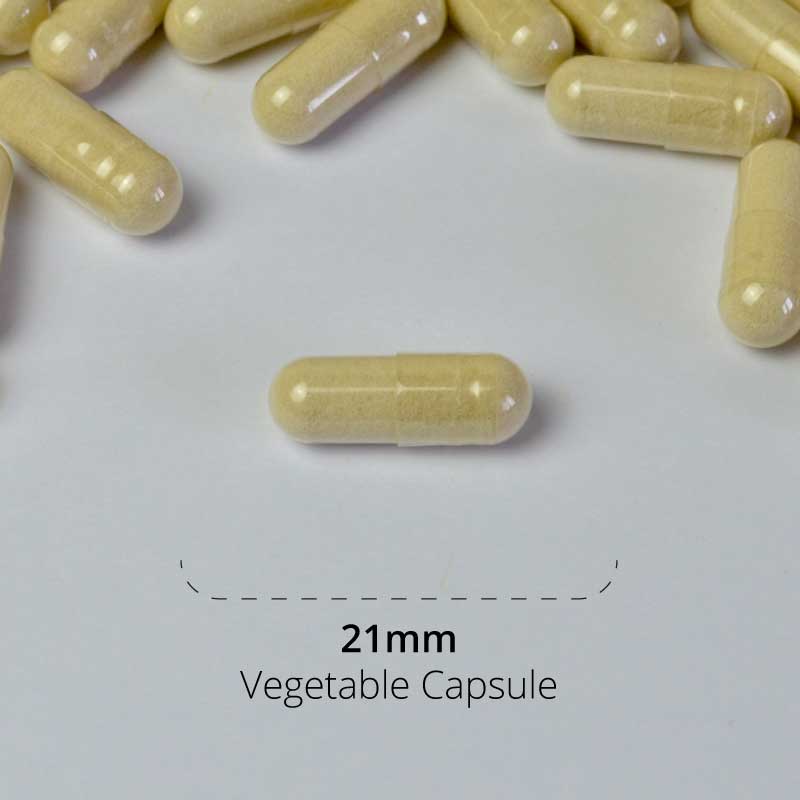 Essential Digestive Plus Capsule
