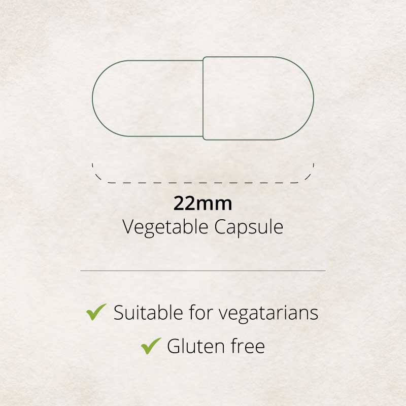Prostate Plus Capsule