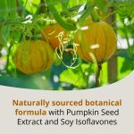 Naturally sourced botanical formula with Pumpkin Seed Extract and Soy Isoflavones
