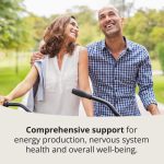 Comprehensive support for energy production, nervous system health and overall well-being.